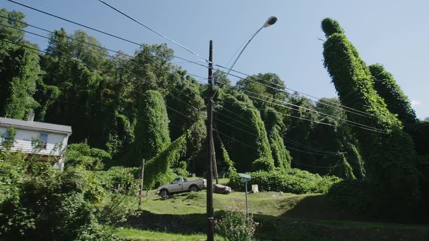 A motorcyclist rides down a hillside road