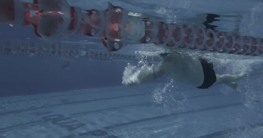 A man is swimming in a lane of a swimming pool during the day