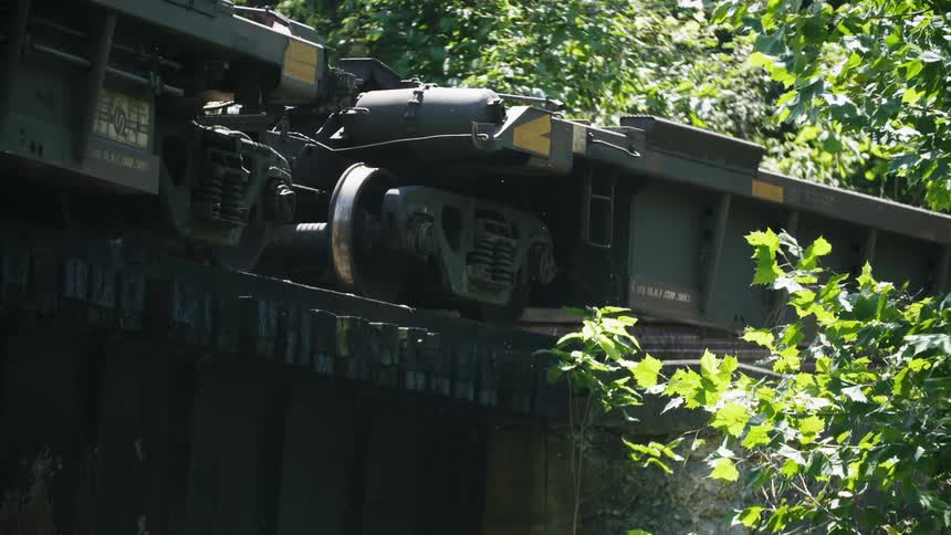 The train is parked in some branches