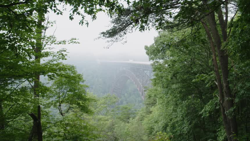 A bridge is surrounded by trees