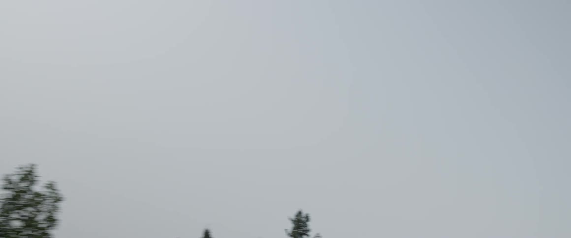 Passing by treetops against a hazy sky