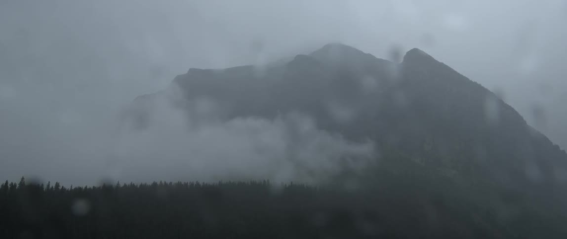The fog hangs over a mountain forest on a rainy day
