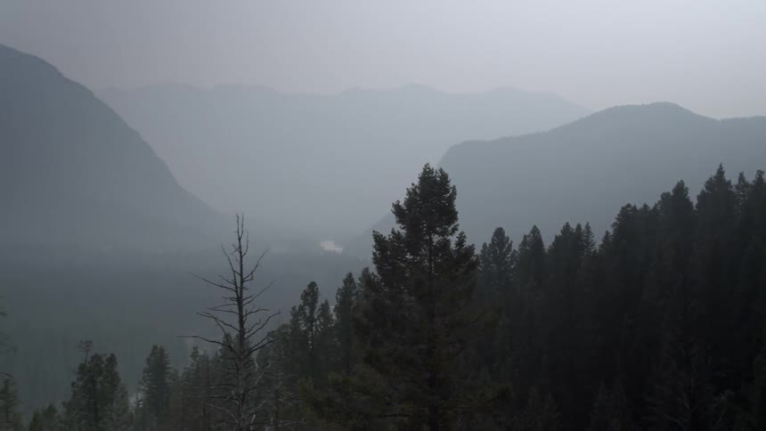 Trees are shown in mountains on a foggy day