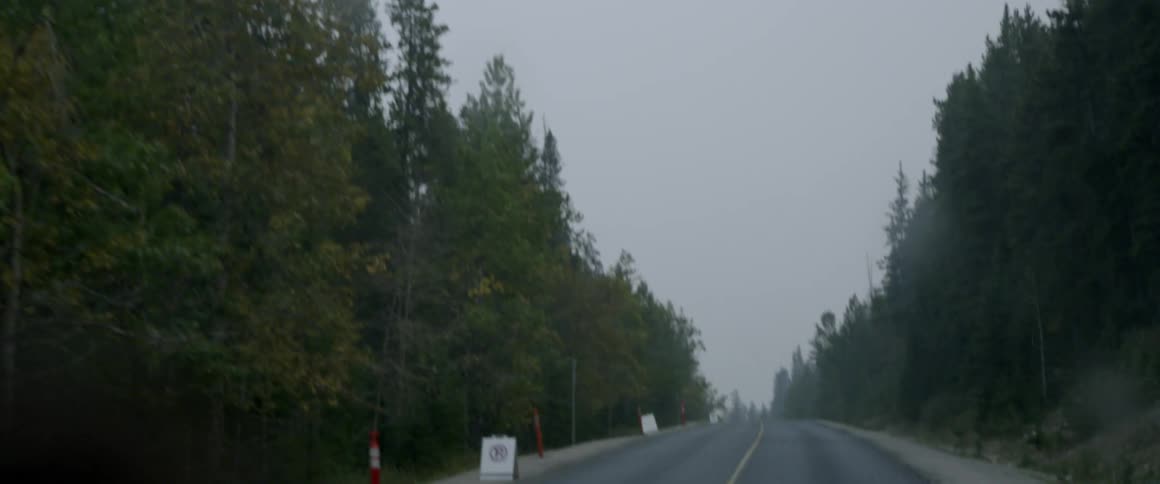 Rain is falling on a road through a forest during the day