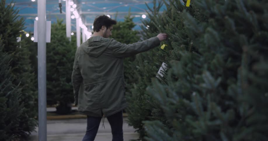 Man shops for a christmas tree