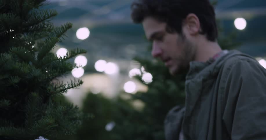 Man looks at trees on a christmas tree lot