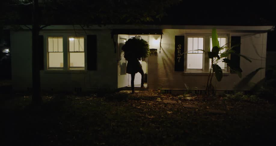 Man carrying a christmas tree into his front door at night
