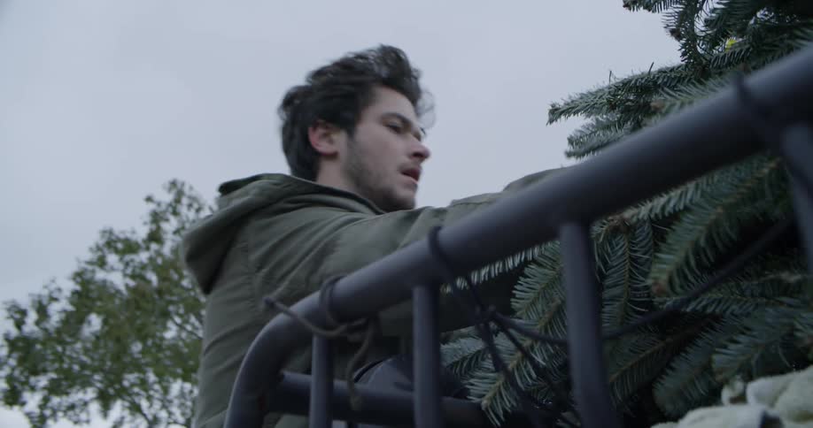 Man strapping down a christmas tree to the top of a vehicle