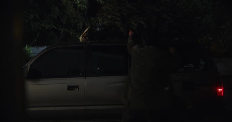 Man parks in a driveway with a christmas tree tied to the car roof