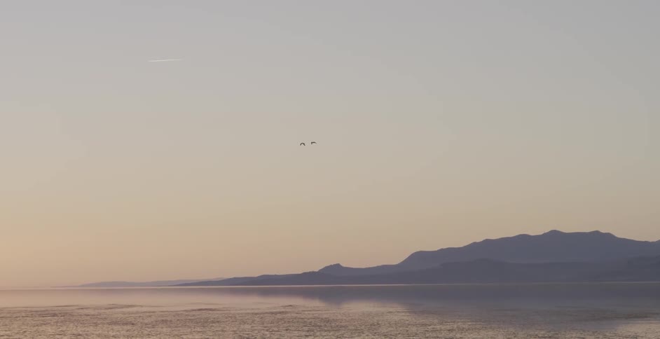 Two birds flying in a cloudy sky towards water