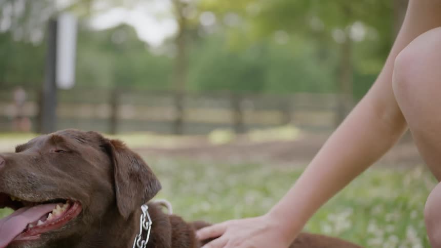 Woman smiles and pets her dog in a park