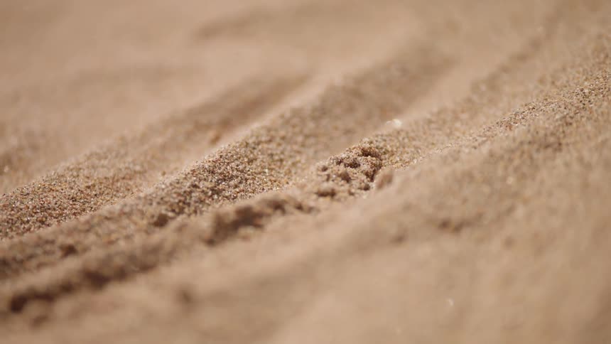 Lines are imprinted in the sand
