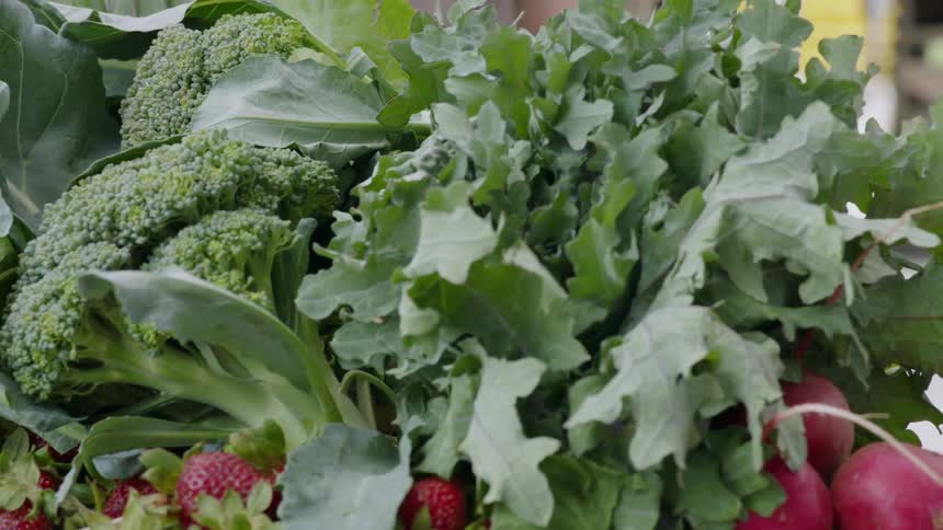 Fresh picked fruit and vegetables sit in a box