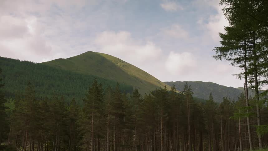 Clouds are casting shadows on a mountain and forest during the day