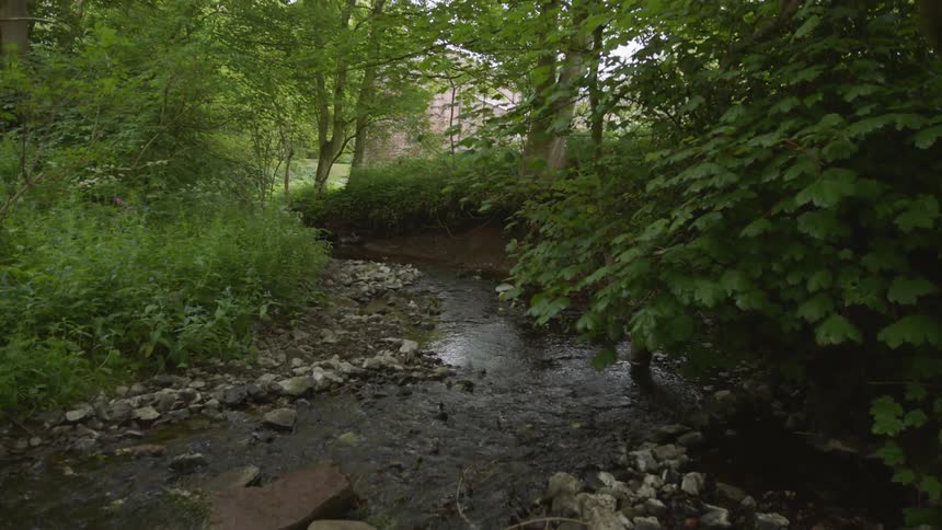 Water flows rapidly down a stream in the forest