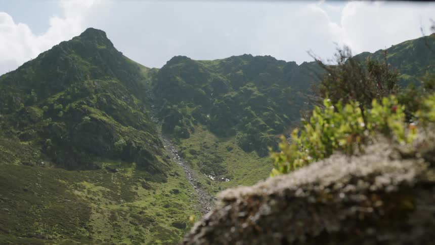 Sunlight is gleaming on a patch of bushes in a mountainous setting on a cloudy day