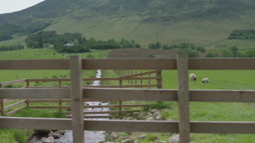 A fenced in fields holding sheep near a brook