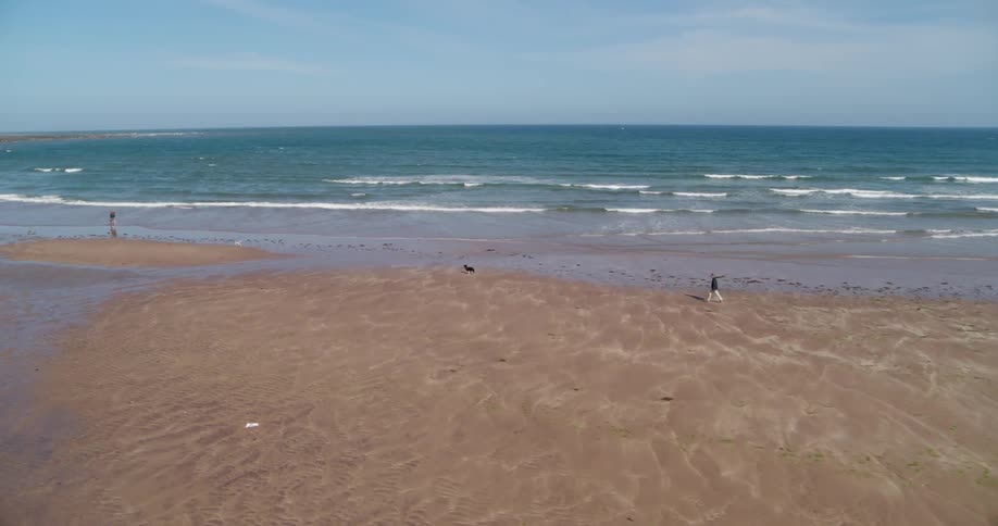 A person and dog walk on a sandy beach