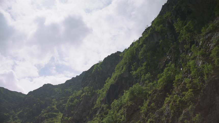 Shrubs and plants cover the side of the mountain