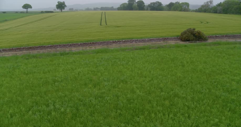 Farm fields stretch out towards the horizon on a cloudy day
