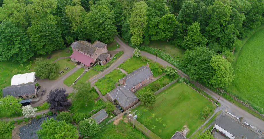 Houses stand in a rural area bounded by a forest during the day
