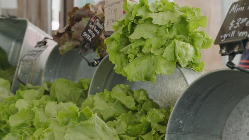 Lettuce is displayed for sale at a market