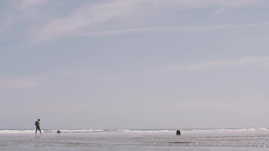 A man and a dog are wading in the tide at a beach during the day
