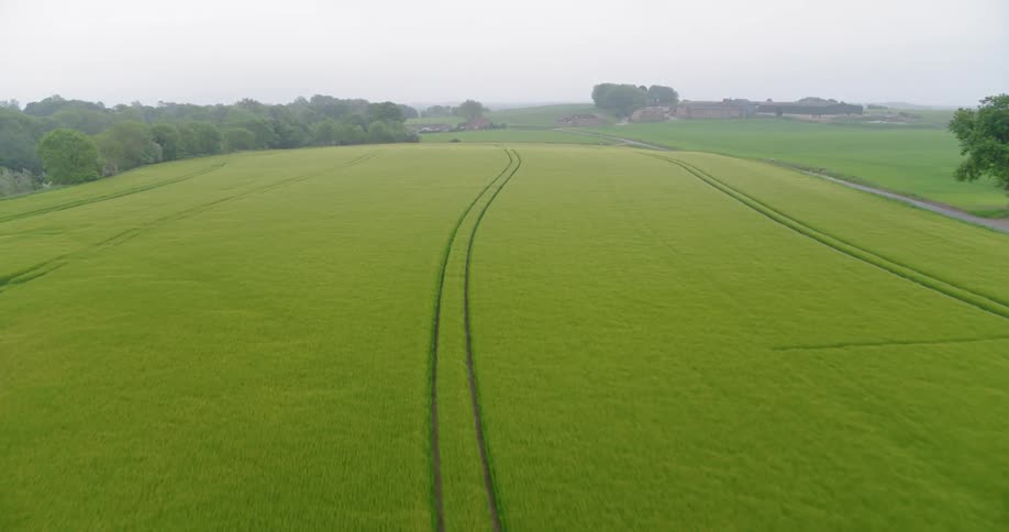 Tire tracks run through a rural field