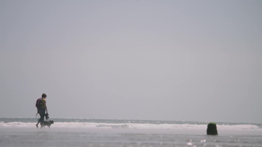 A man walks with his dog into the ocean water on the beach