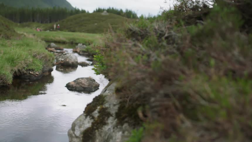 A small river through the hills near a forest