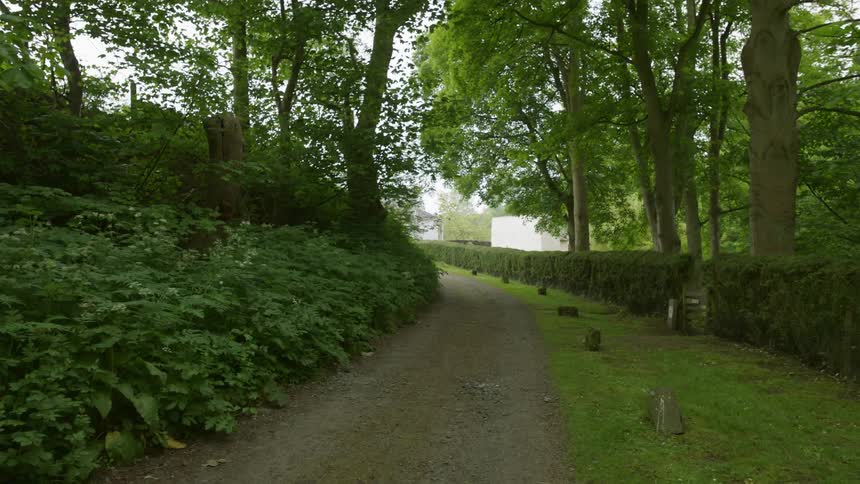 Trees and foliage line a dirt path in a park