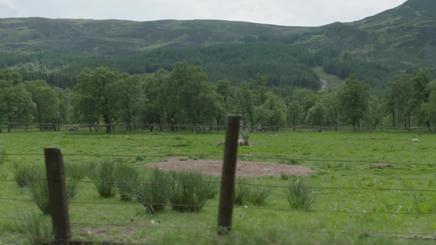 A fence around a field near the woods