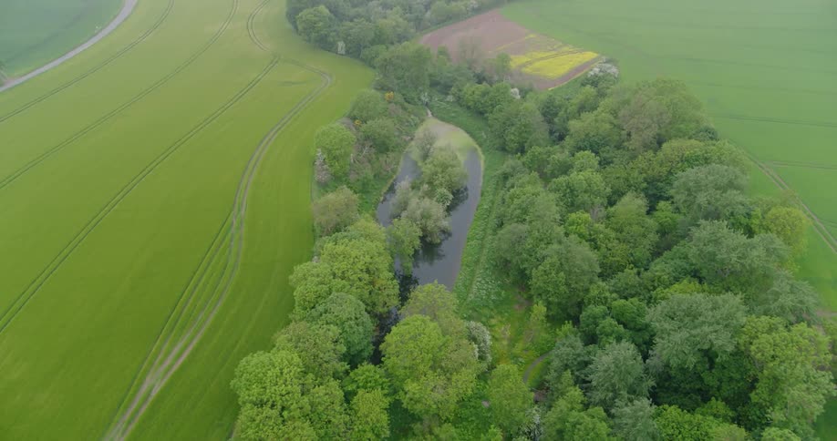Row of trees through a large area of flat grassland