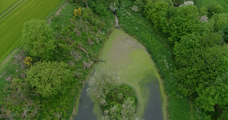 An island in the middle of a pond