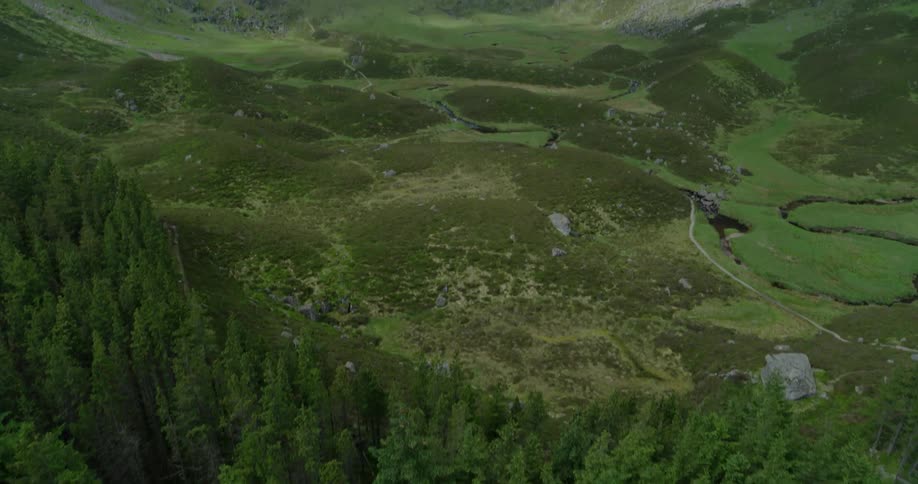 Tall trees cover the grounds at the foot of a mountain