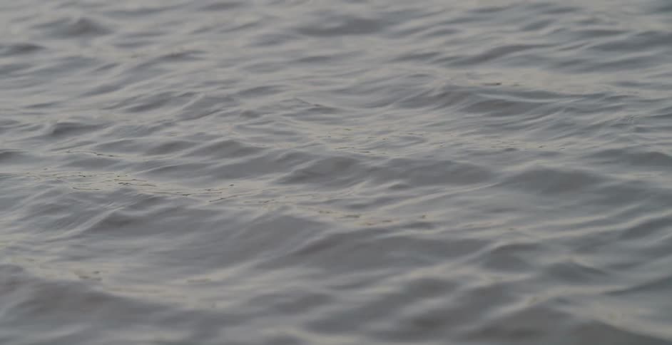 Gentle ripples show on a body of water