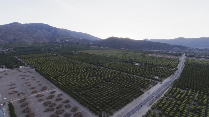 Cars drive past the vast crop fields of the farm