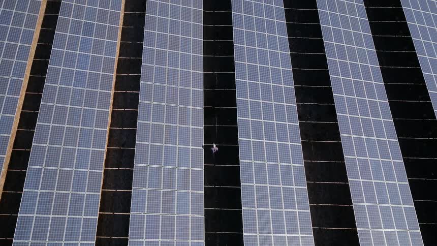 A person walks in between rows of large solar panels