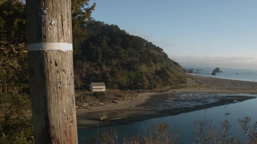 Trees near a telephone pole blow in the wind on a hill overlooking the beach