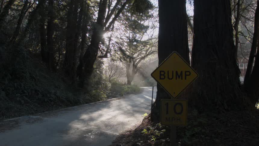A road sign that says bump in the middle of the woods