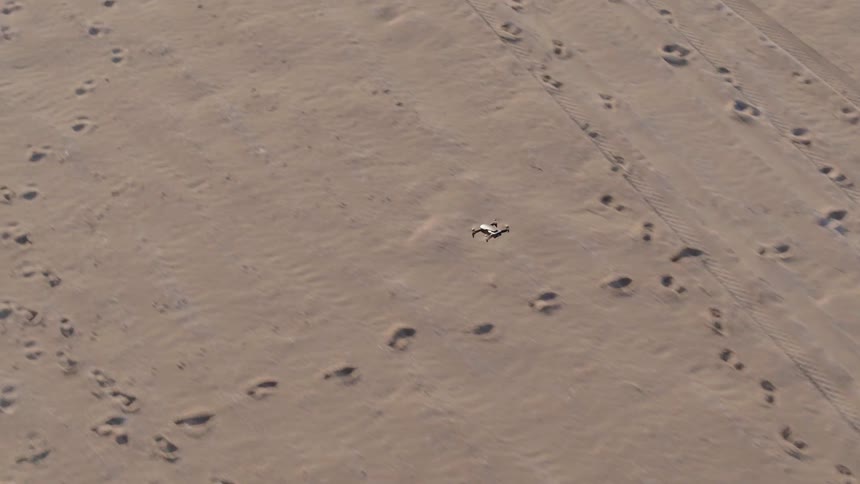 A drone is flying over a beach marked with tracks