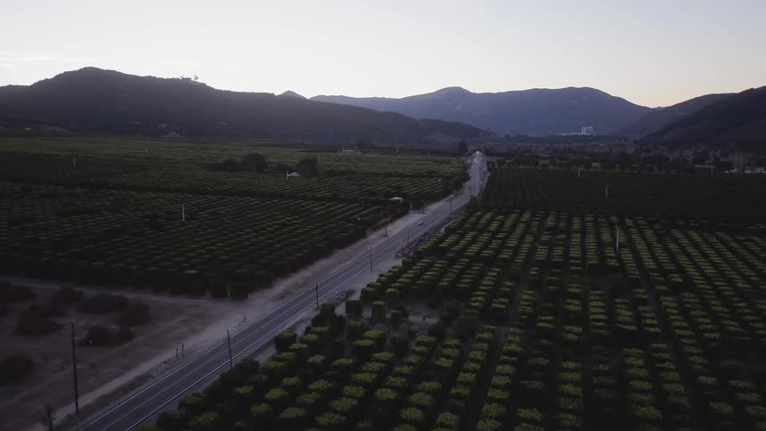 Cars travel on a road that cuts through farms and orchards