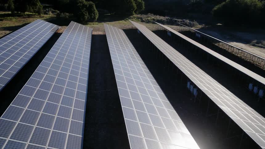 Sunlight shines on rows of solar panels