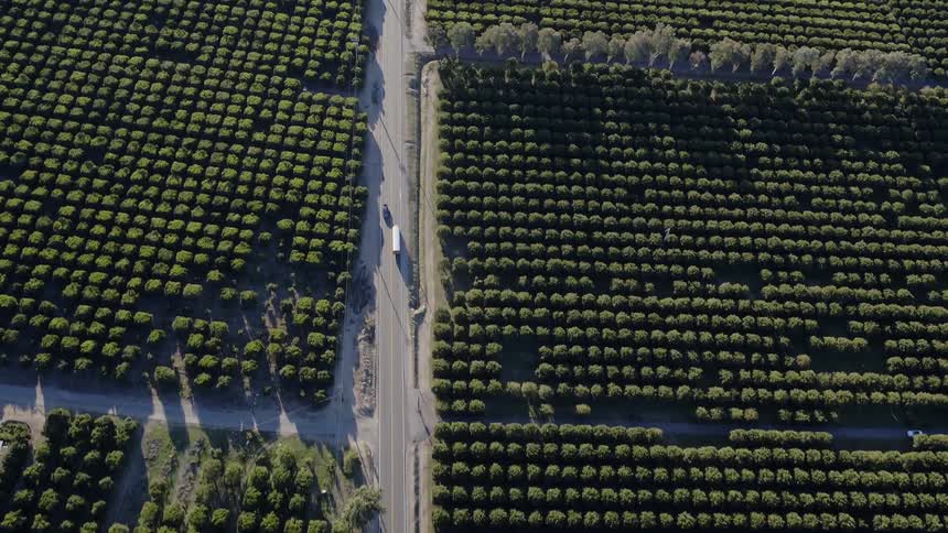 Vehicles travel on a small farmland road