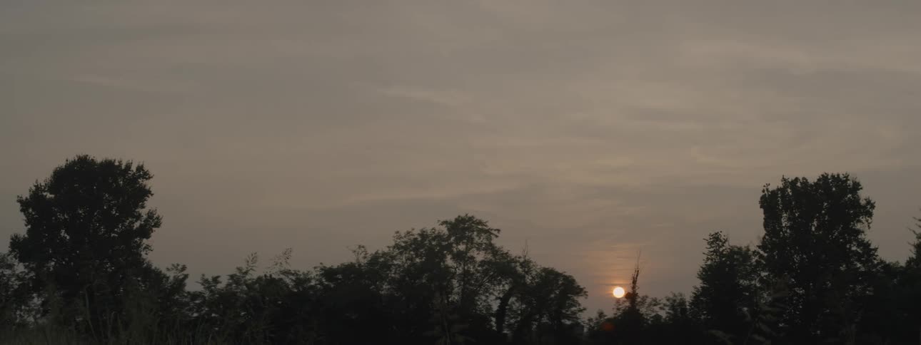 The sun sets behind trees