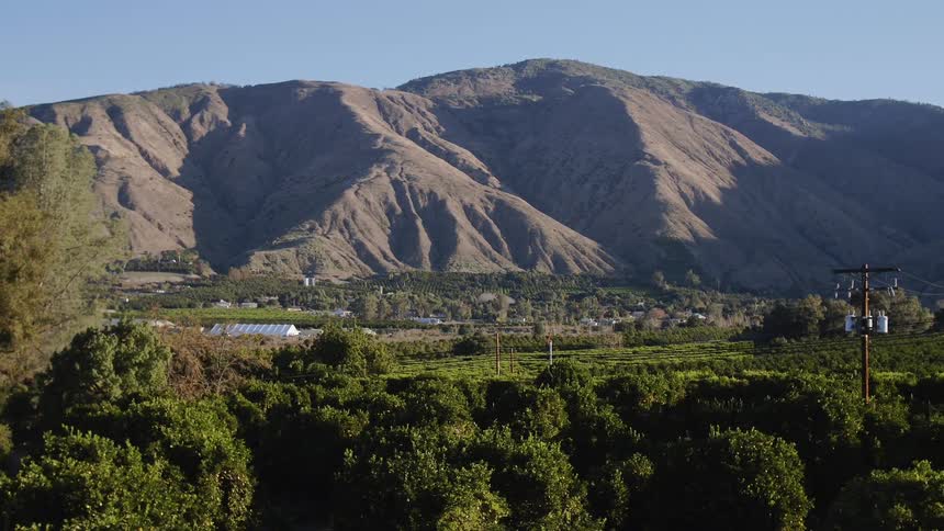 The tall mountain is lined with houses and trees at the bottom
