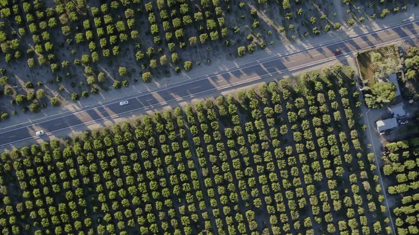 A drone looking straight down at a farm from high in the sky