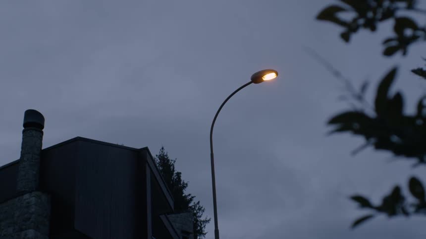 A street lamp is shining in a rural town at dusk