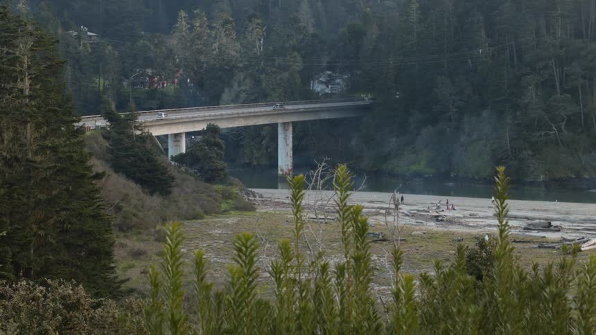 Cars driving on a bridge over a tree lined river