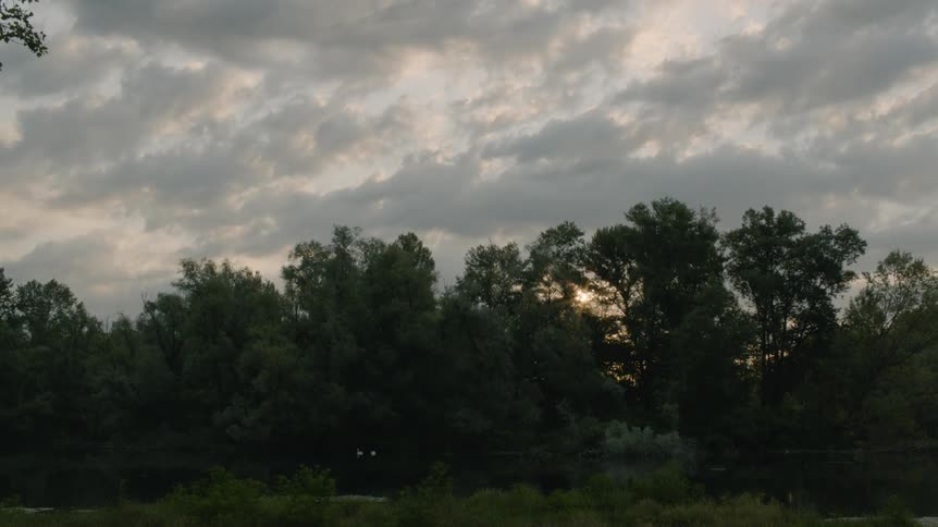 Clouds float over trees at sunset